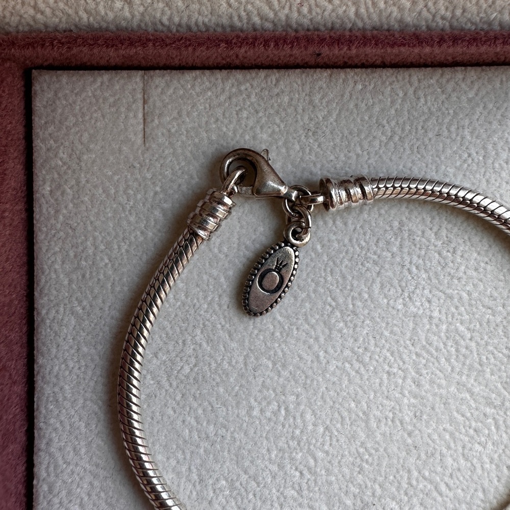 Pandora Bracelet - Picture 4 of 6